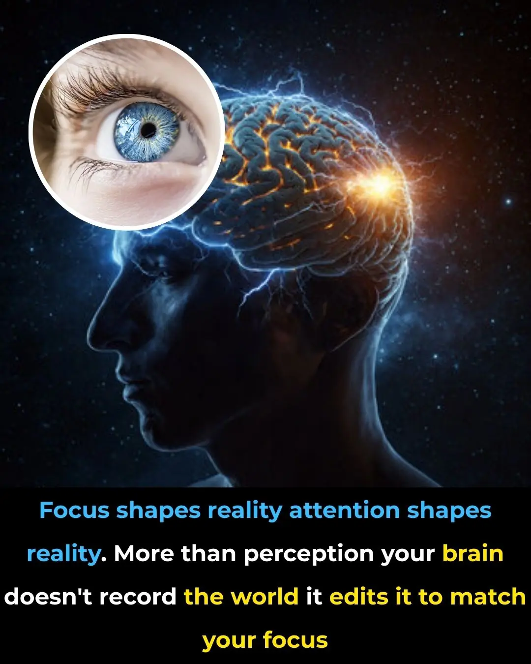 How Attention Shapes Reality: The Neuroscience Behind Focus and Perception