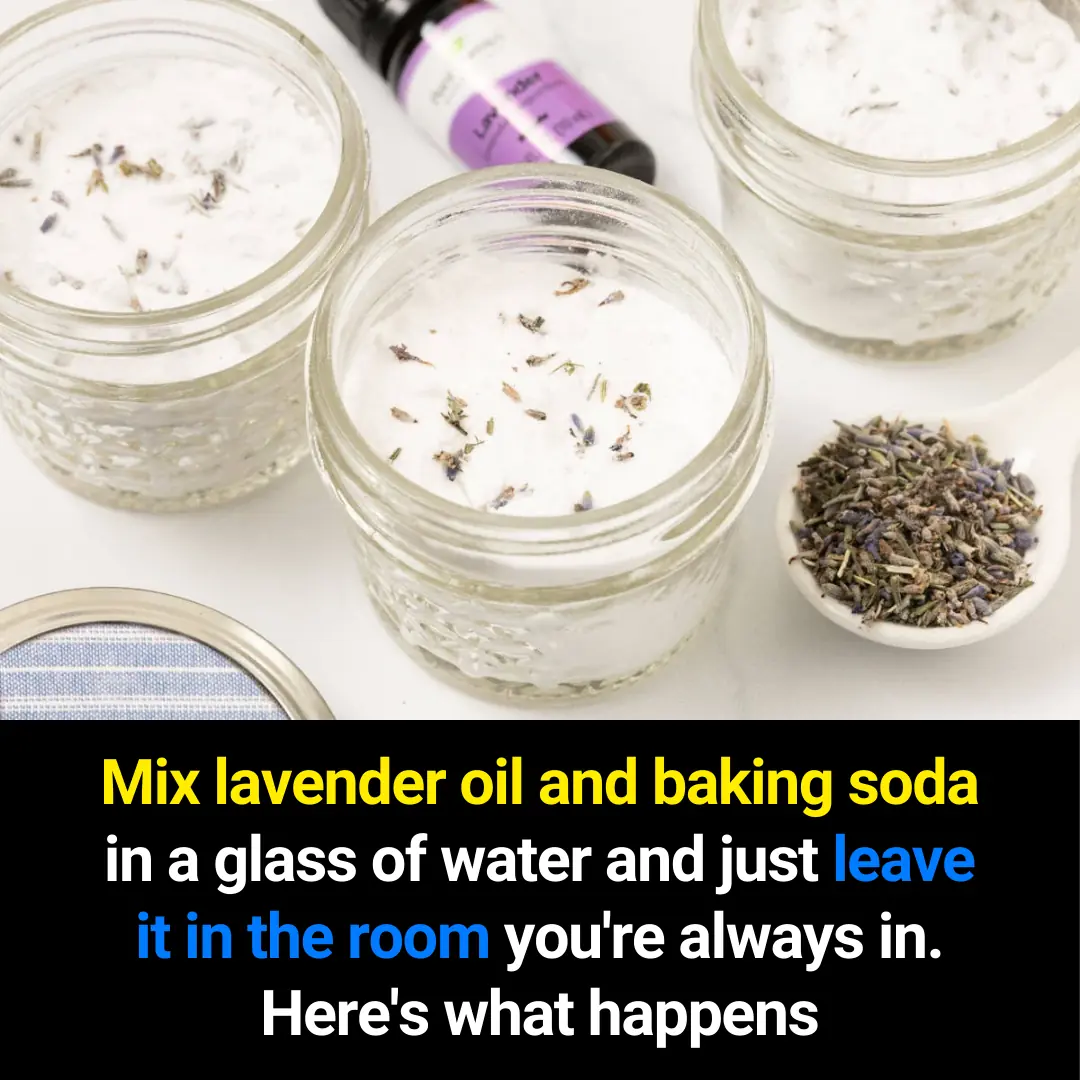 Lavender Oil and Baking Soda: A Natural DIY Air Freshener Backed by Science (Full SEO Article)