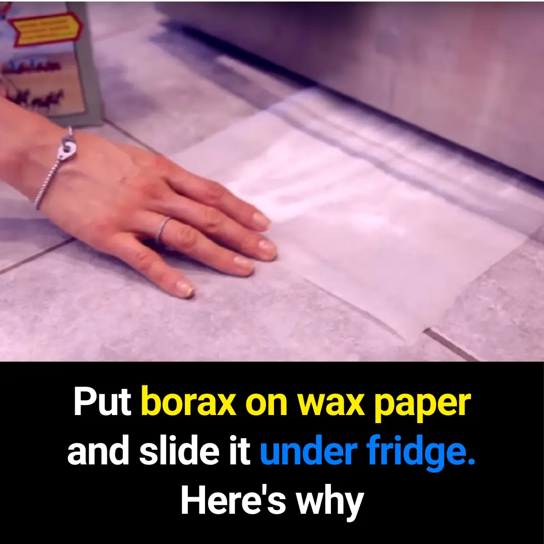 Why Placing Borax on Wax Paper Under Your Fridge Works: A Full Guide