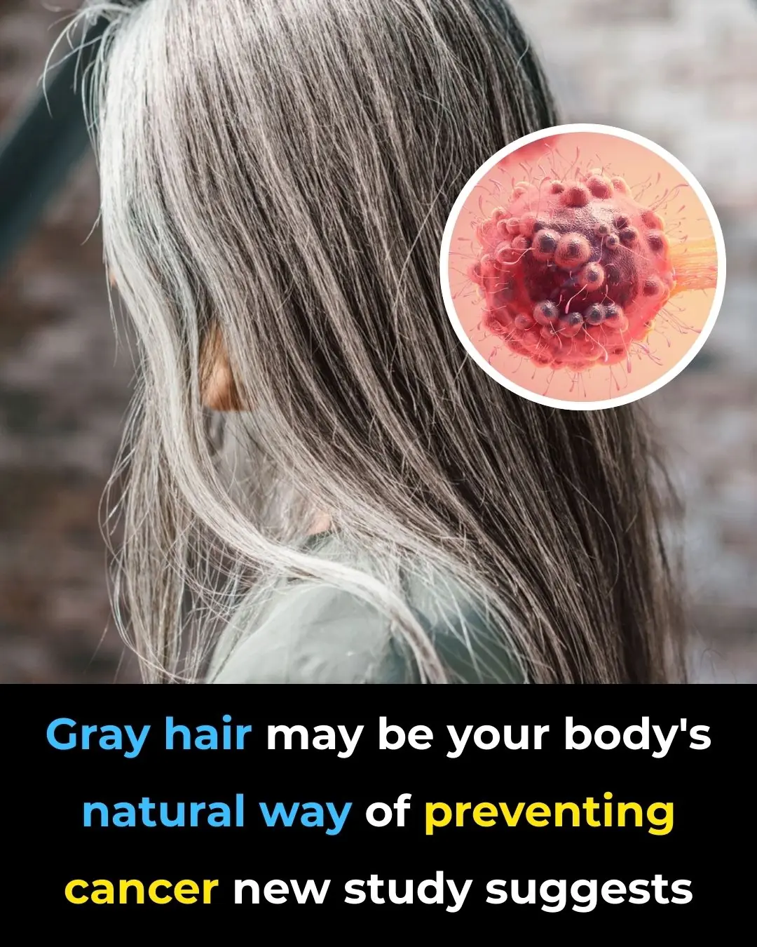 Gray Hair: A Natural Defense Against Cancer, New Study Suggests
