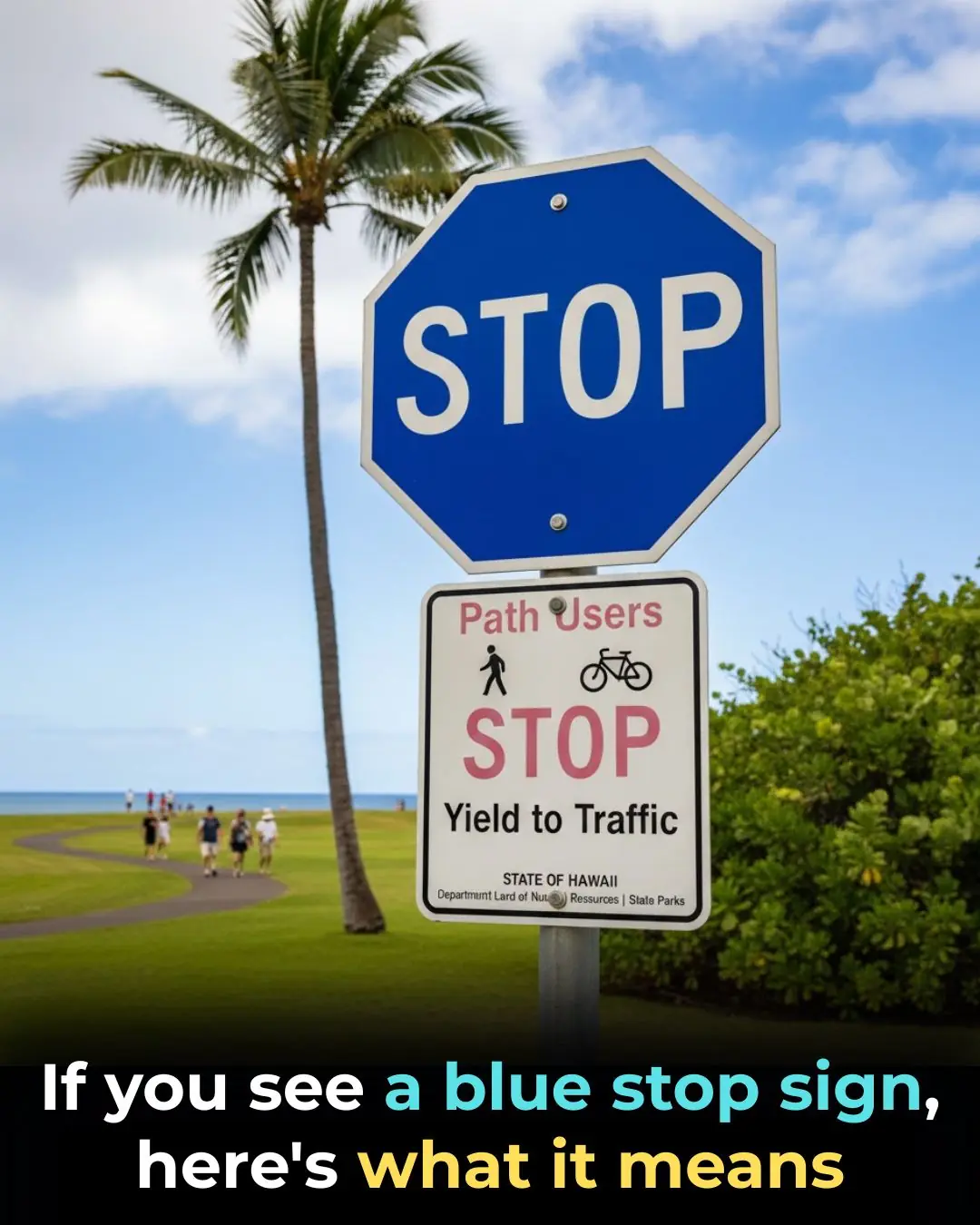 The Mystery of the Blue Stop Sign