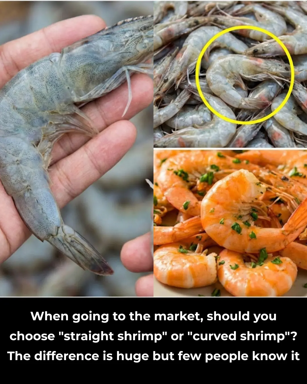 When Buying Shrimp: Should You Choose Straight or Curved Ones? The Difference Is Huge but Few People Know