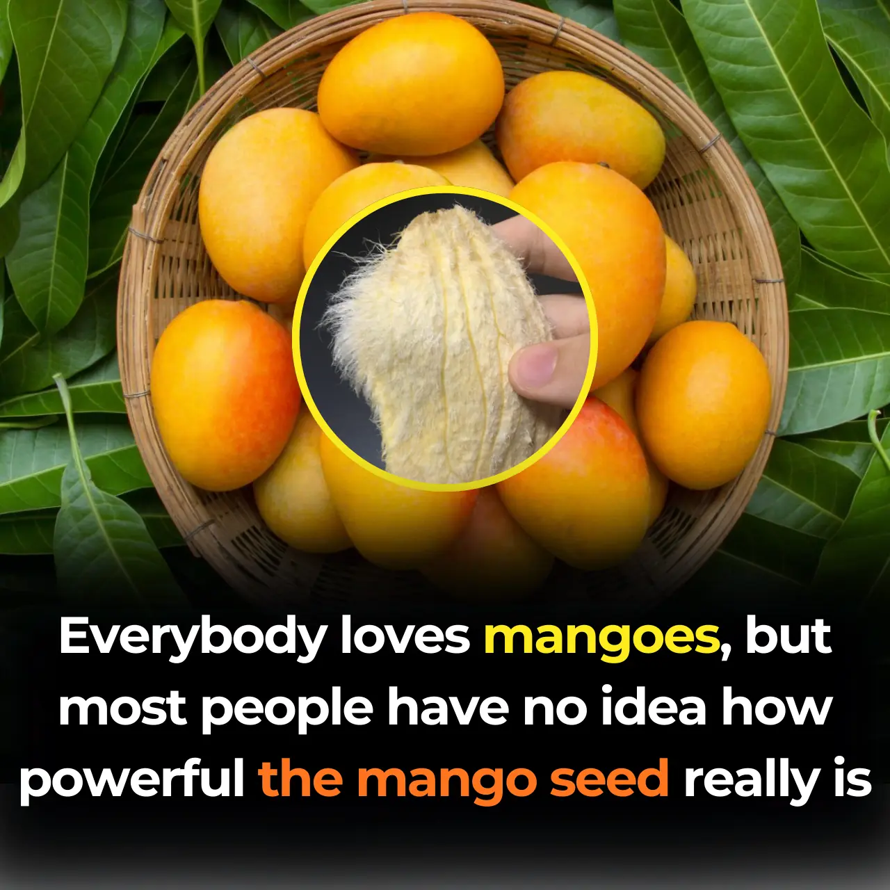 The Hidden Power of Mango Seed