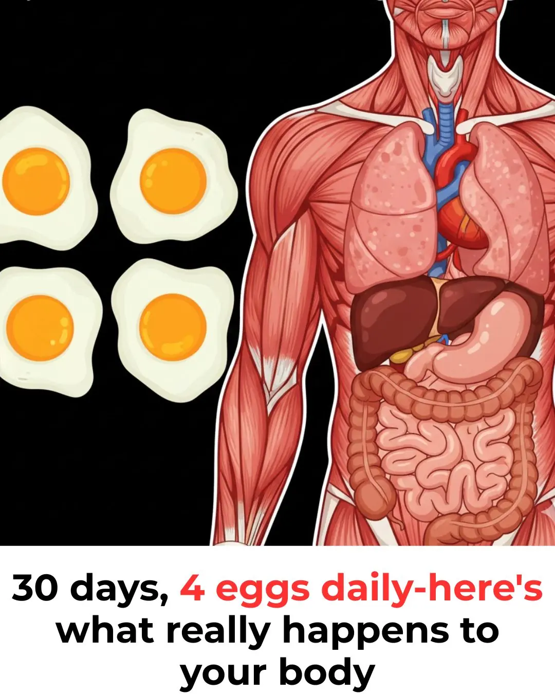What if you ate 4 eggs a day with the yolks for 30 days?