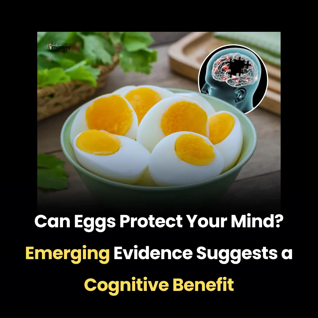Can Eggs Protect Your Mind? Emerging Evidence Suggests a Cognitive Benefit