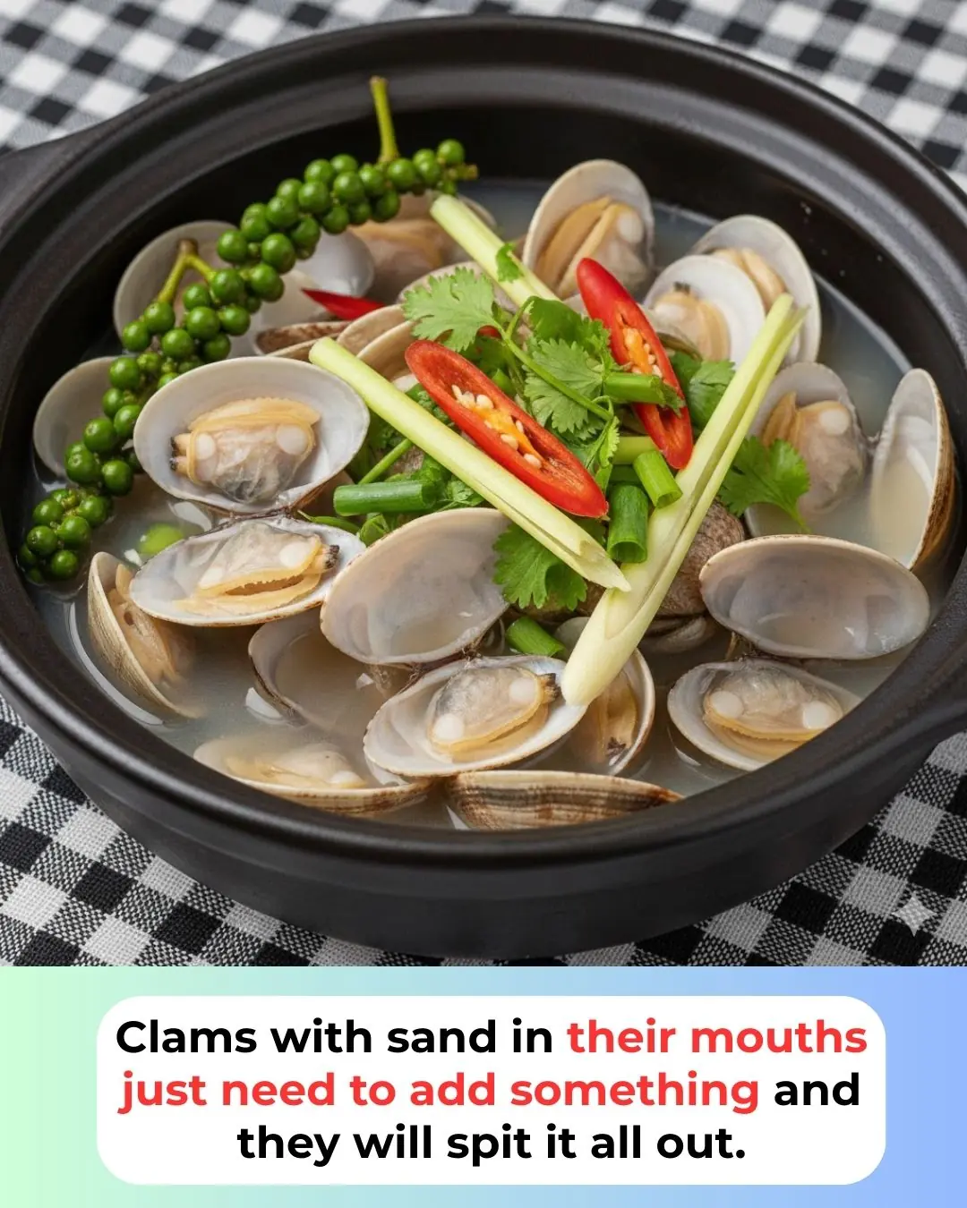 Clams with sand in their mouths just need to add something and they will spit it all out.