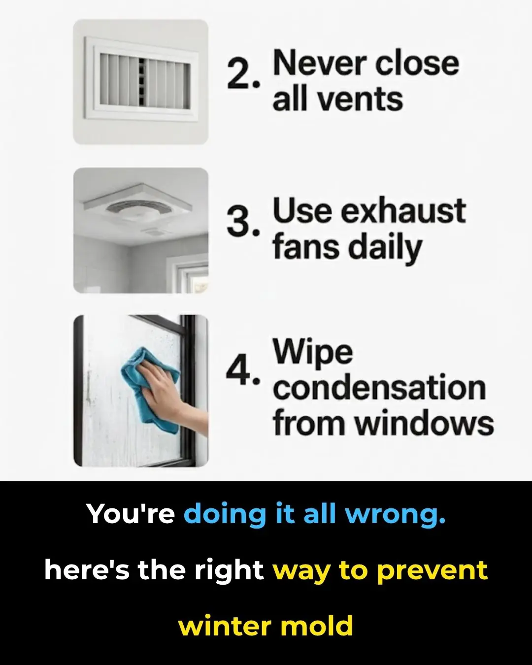 You're doing it all wrong. Here’s the right way to prevent winter mold