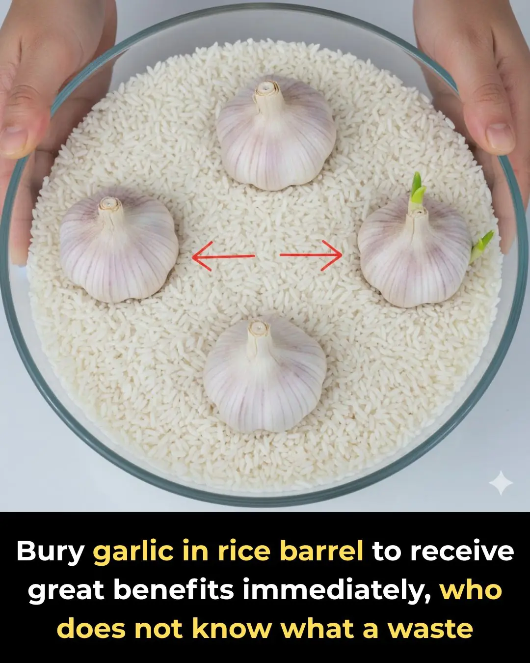 Bury Garlic in Your Rice Container for Amazing Benefits – Don’t Miss This Simple Trick