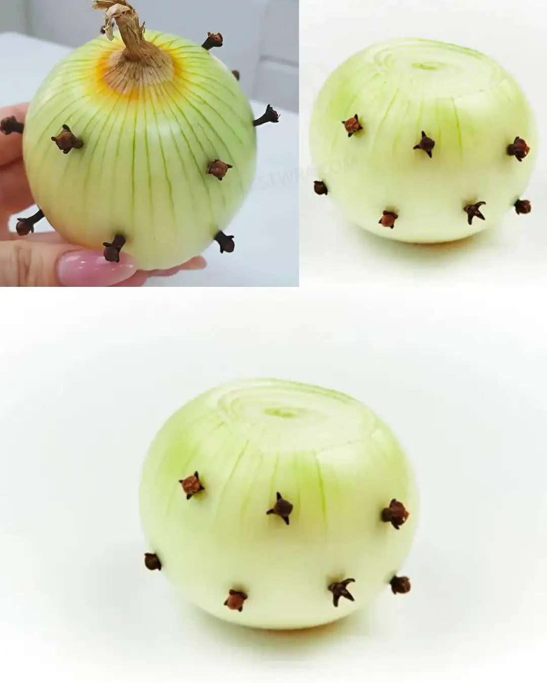 Cloves and Onion: An Ancient Remedy with Modern Benefits