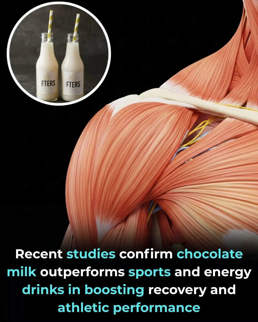 Chocolate Milk: The Surprisingly Powerful Recovery Drink Backed by Science