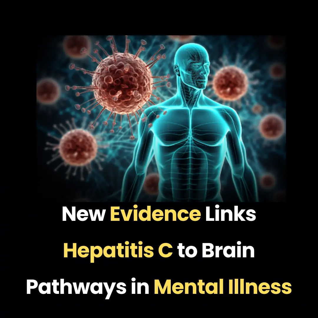 New Evidence Links Hepatitis C to Brain Pathways in Mental Illness