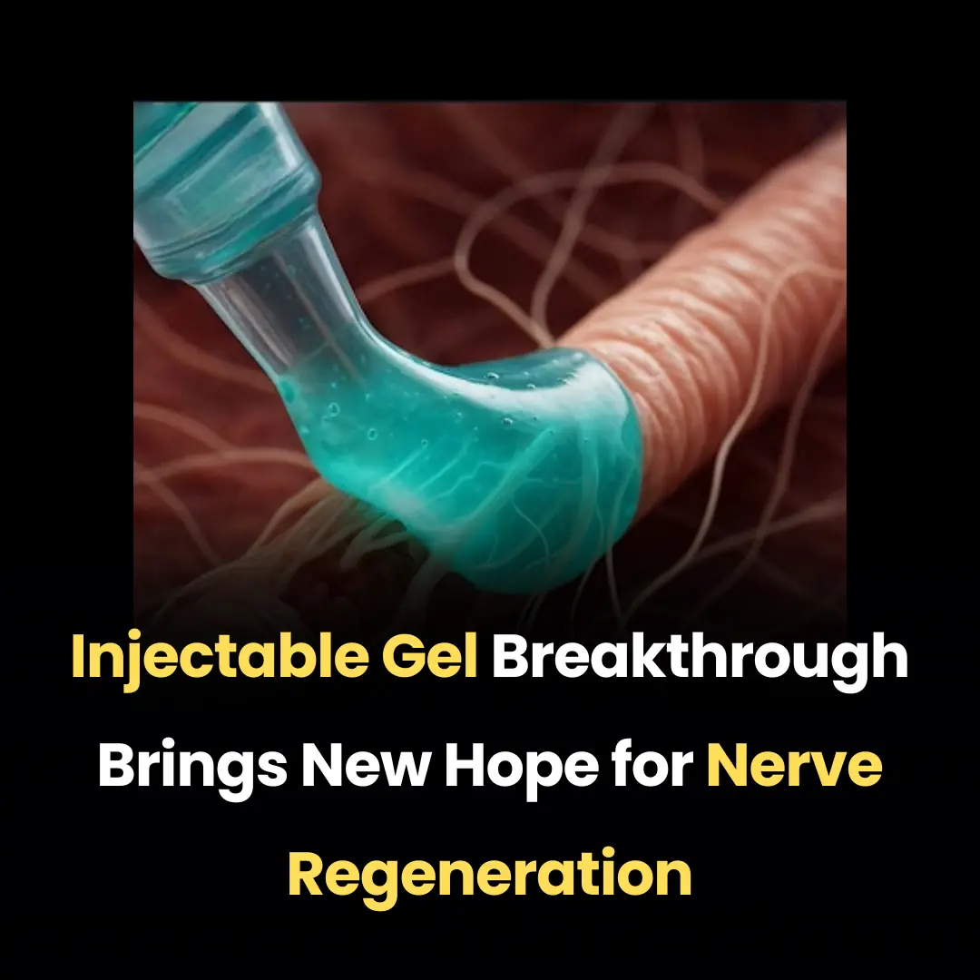 Injectable Gel Breakthrough Brings New Hope for Nerve Regeneration
