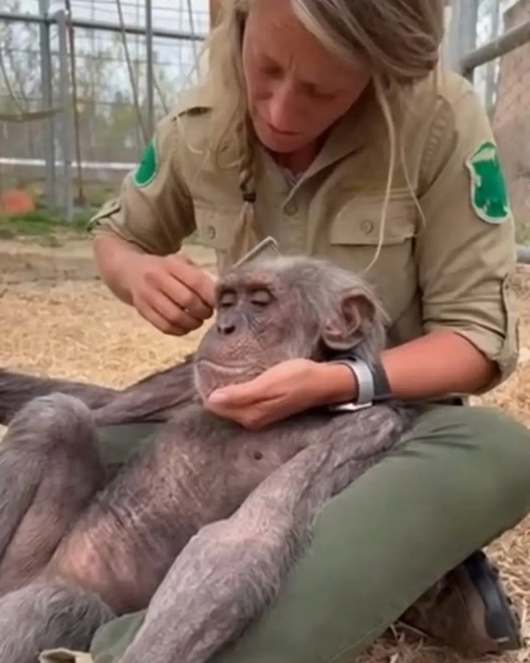 In His Final Hours, All He Wanted Was Her Touch.