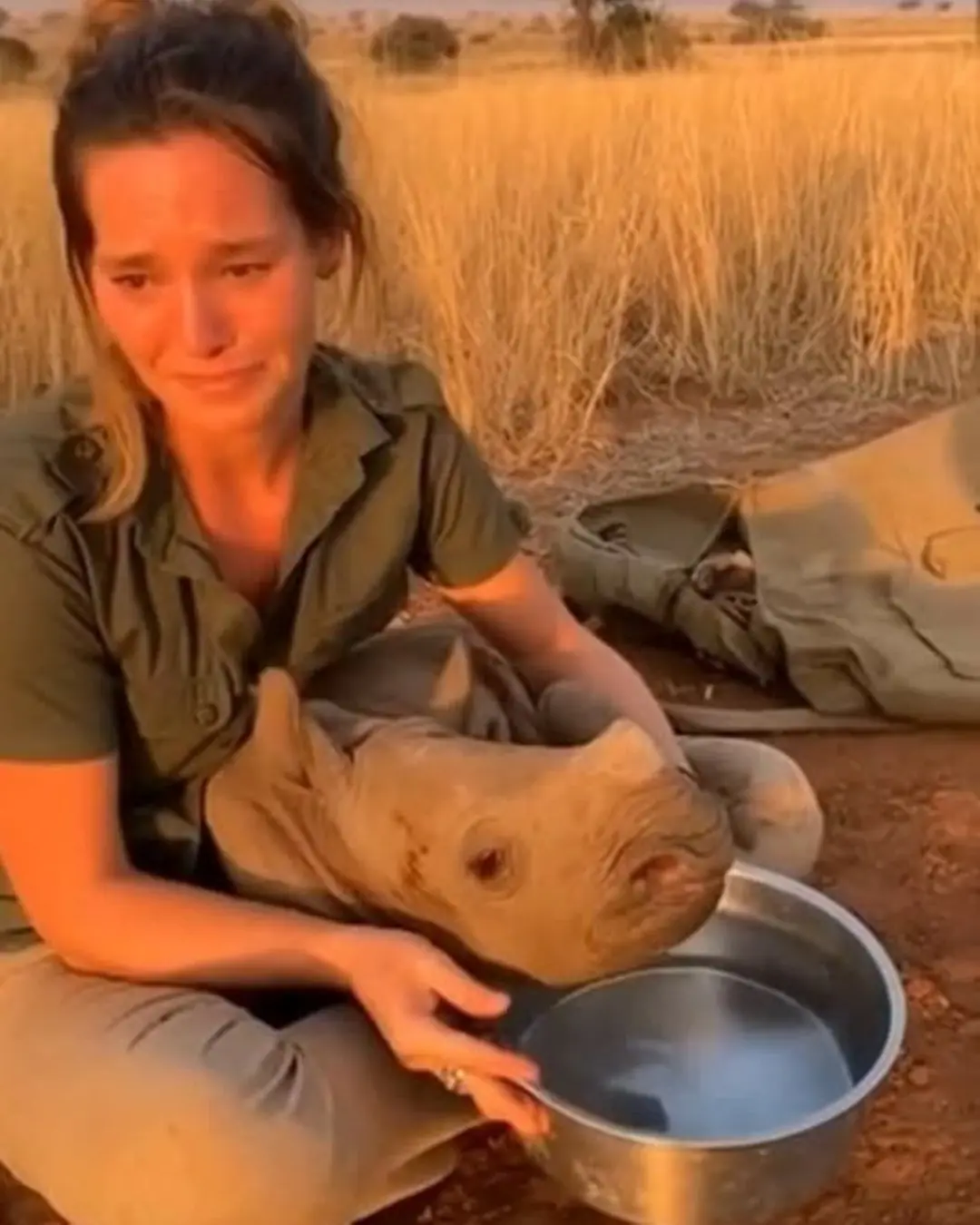 Brave: The Calf Who Refused to Give Up.