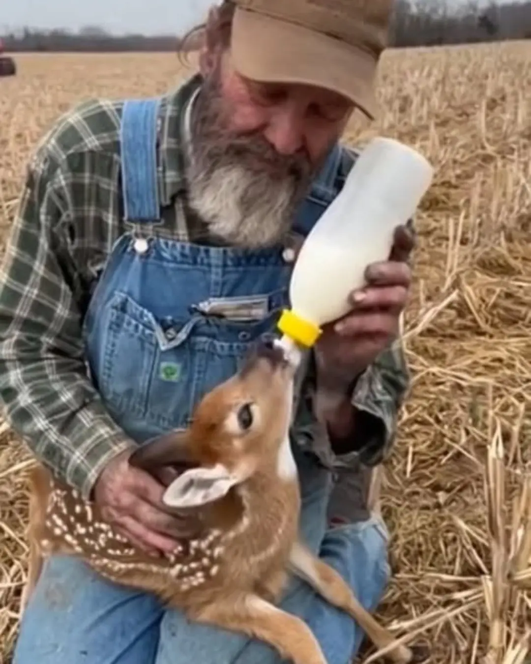 The Cry That Stopped the Tractor.