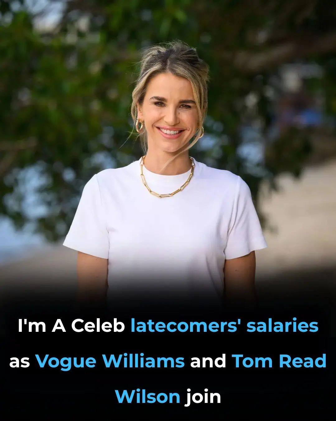 💰 I'm A Celebrity Latecomer Salaries: Vogue Williams and Tom Read Wilson