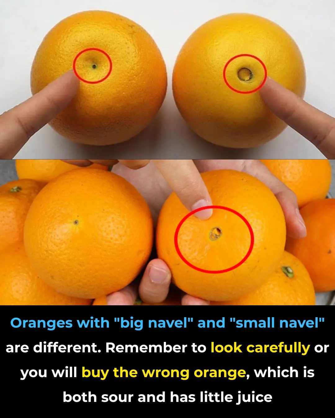 Large Navel Oranges vs Small Navel Oranges