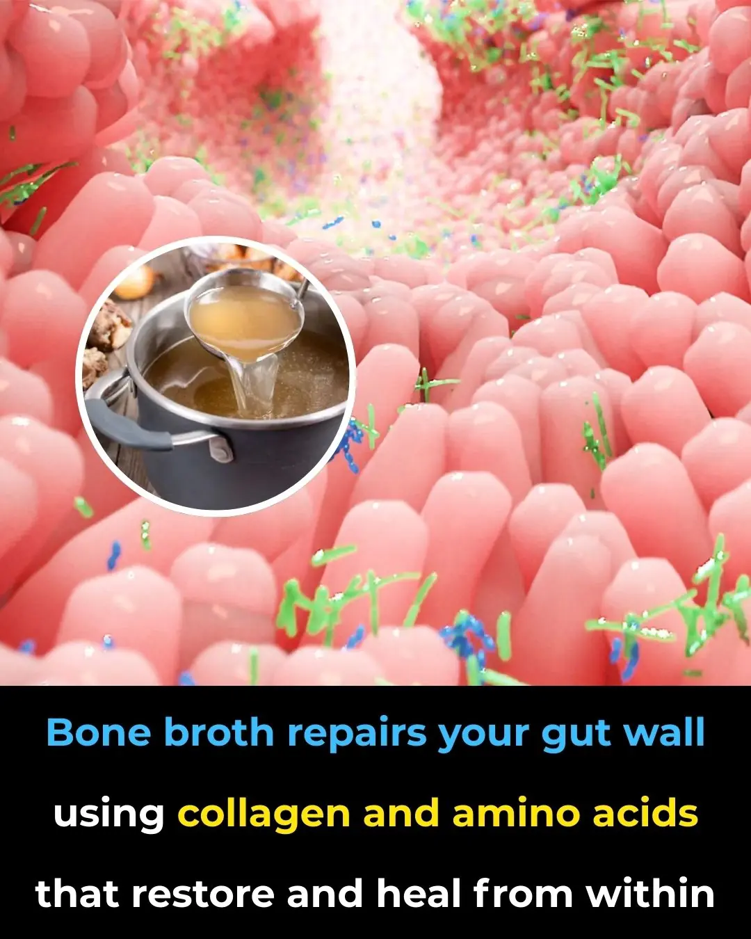 The Healing Power of Bone Broth: From Gut Health to Whole-Body Wellness