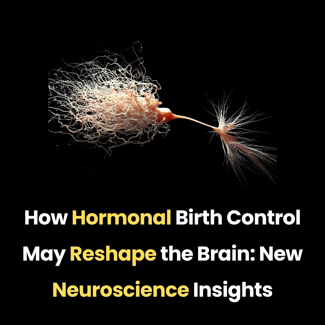How Hormonal Birth Control May Reshape the Brain: New Neuroscience Insights