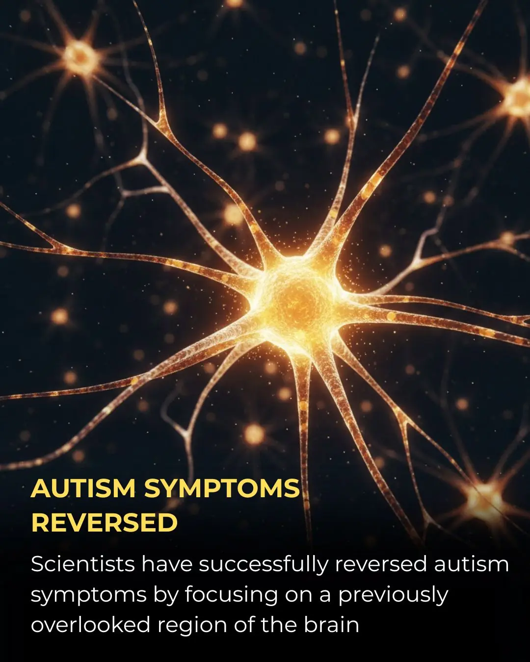 Novel Neural Pathway Identified as Key to Reversing Autism-Related Behaviors