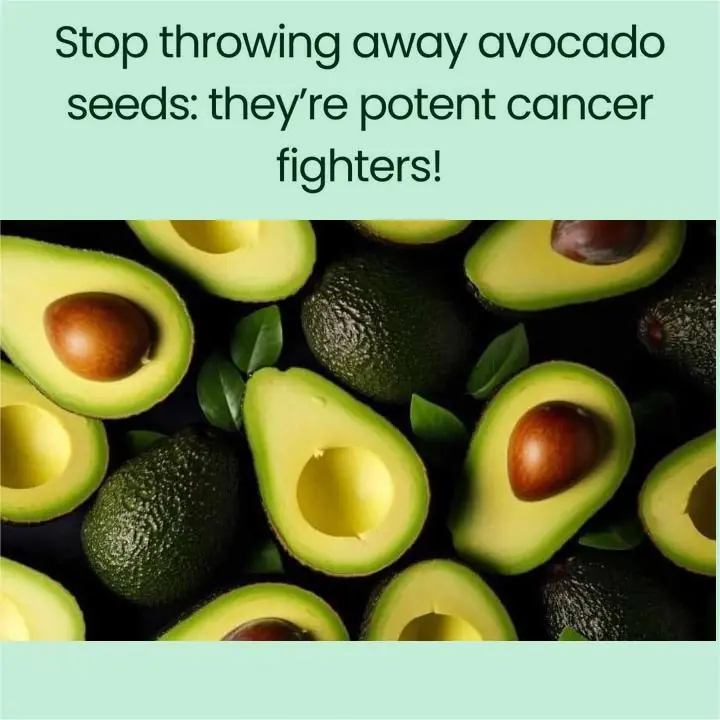 Avocado Seeds: The Overlooked Nutritional Power Inside the Fruit