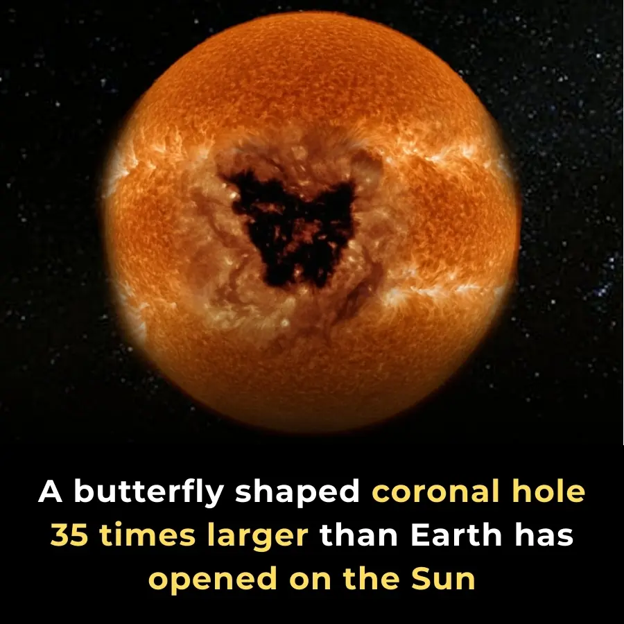 NASA Spots Giant Butterfly-Shaped Coronal Hole Sending Solar Wind Toward Earth