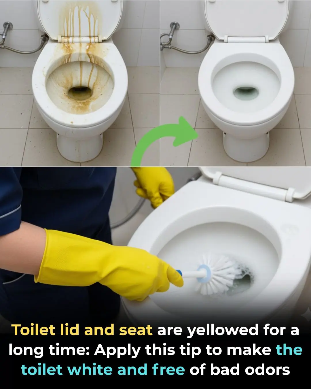 Toilet lid and seat are yellowed for a long time: Apply this tip to make the toilet white and free of bad odors