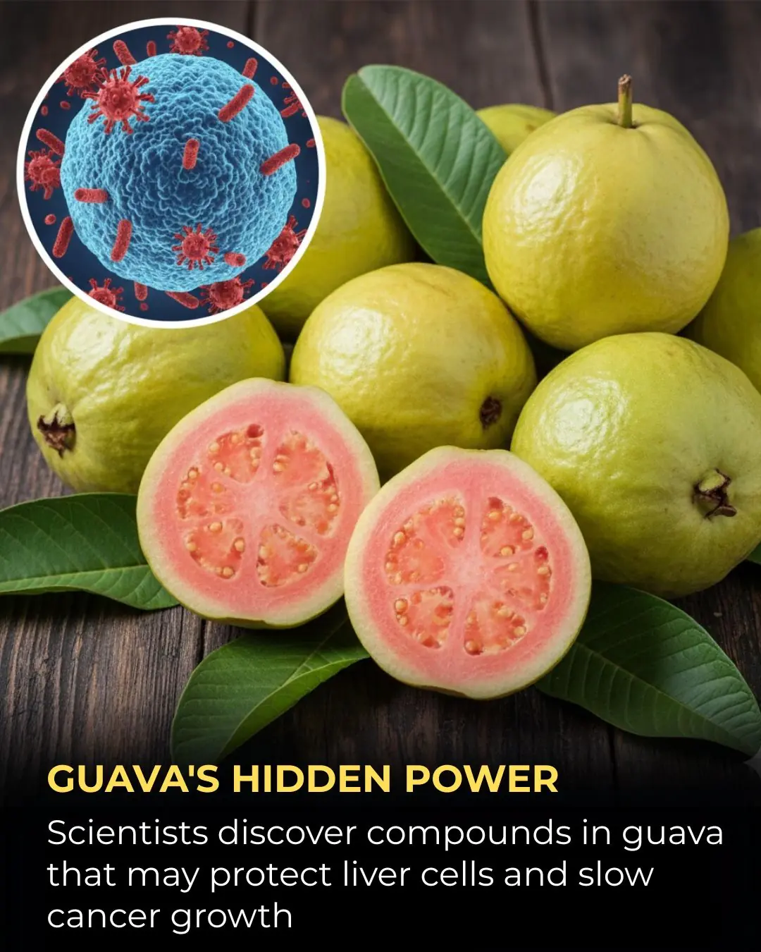 Nature’s Defense: How Guava May Support Liver Health and Fight Cancer Cells