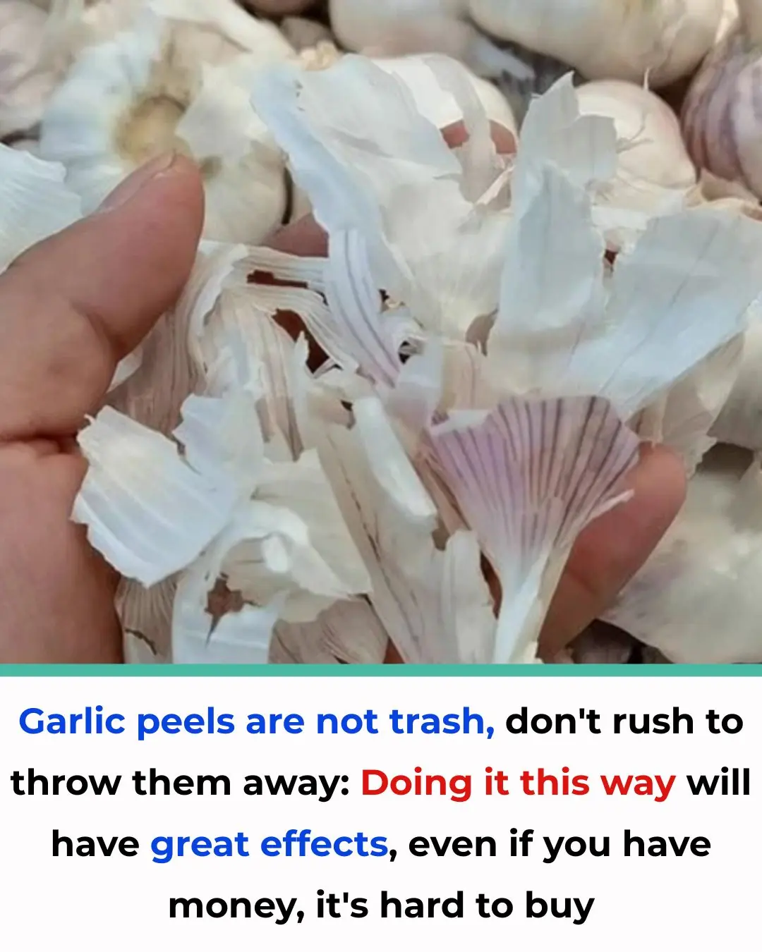 **Garlic Skins Are Not Trash — Don’t Throw Them Away Yet!