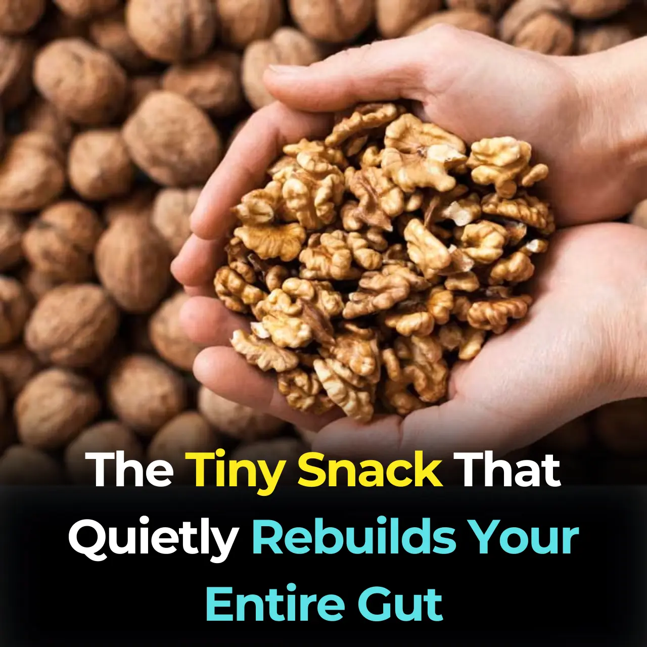 Walnuts Feed Your Microbiome: The Small Superfood That Transforms Your Gut and Your Mood