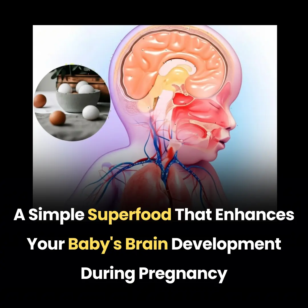 A Simple Superfood That Enhances Your Baby's Brain Development During Pregnancy
