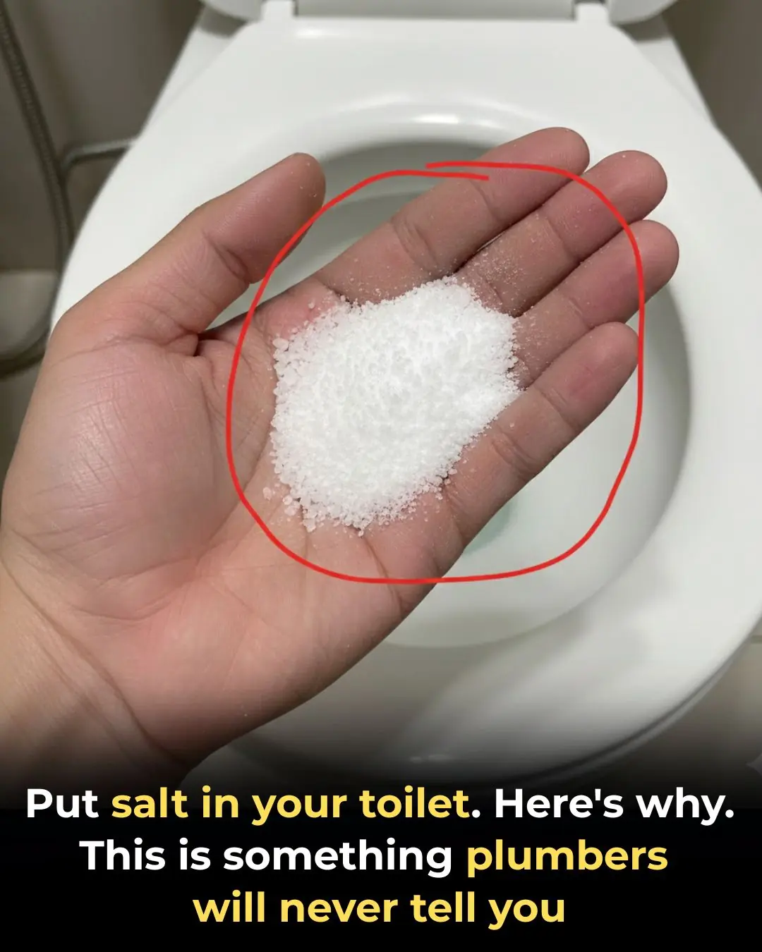 Why You Should Be Putting Salt in Your Toilet
