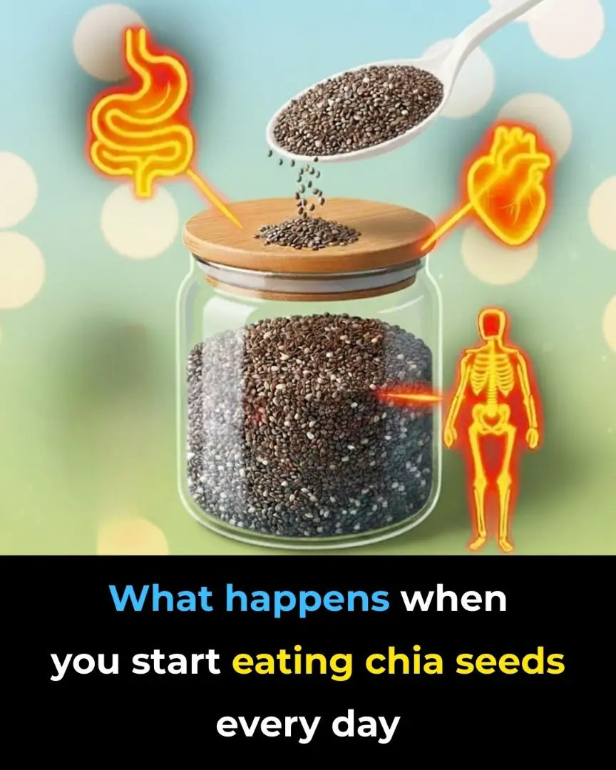 What happens when you start eating chia seeds every day