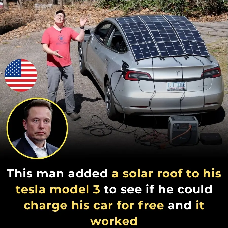 Solar-Powered Tesla Experiment Proves Off-Grid Charging Is Possible