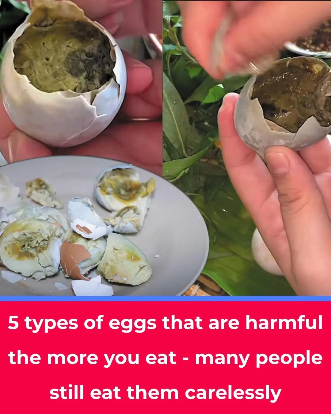 5 Types of Eggs That May Be Harmful if Eaten Regularly
