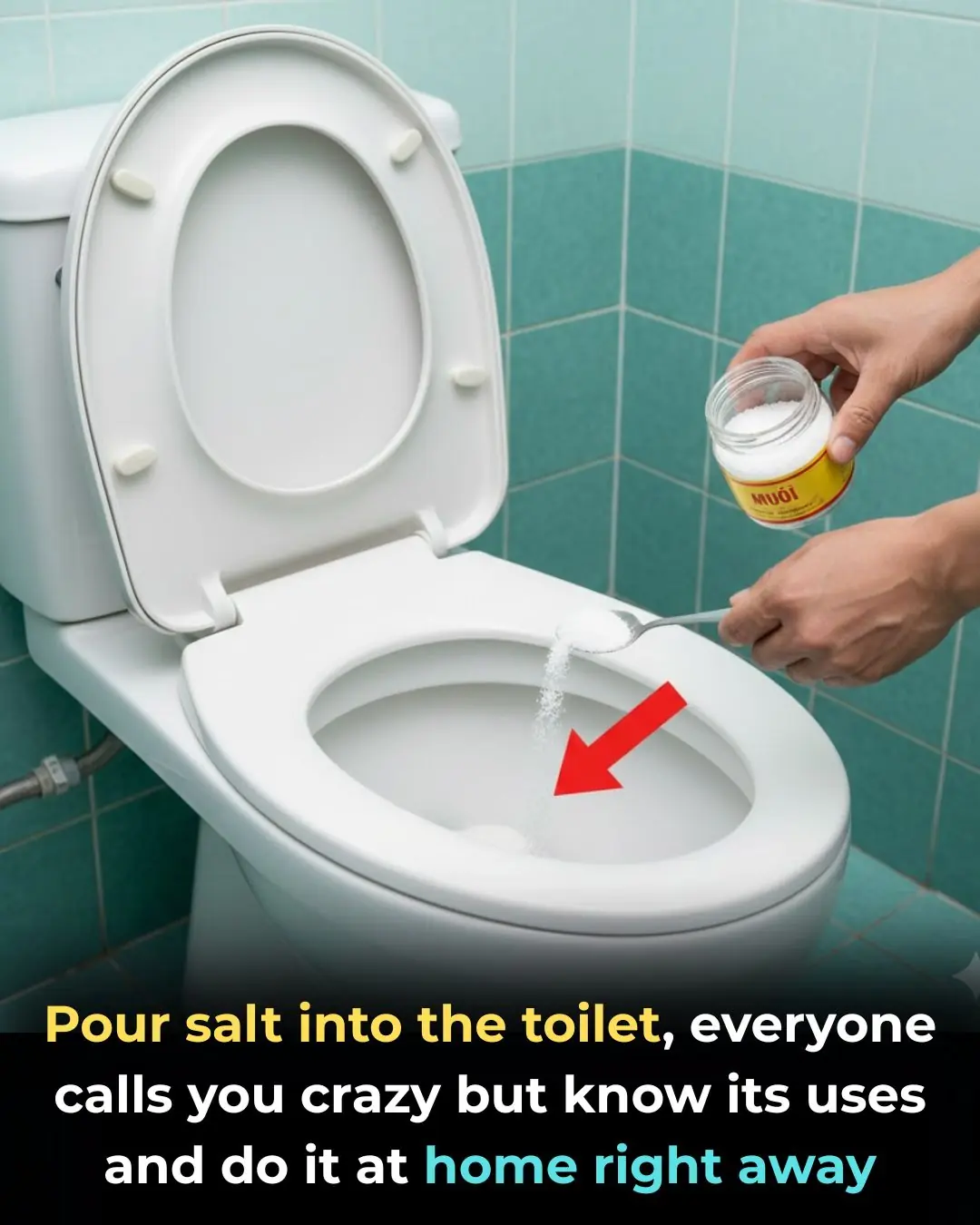 Pour salt into the toilet, everyone calls you crazy but know its uses and do it at home right away