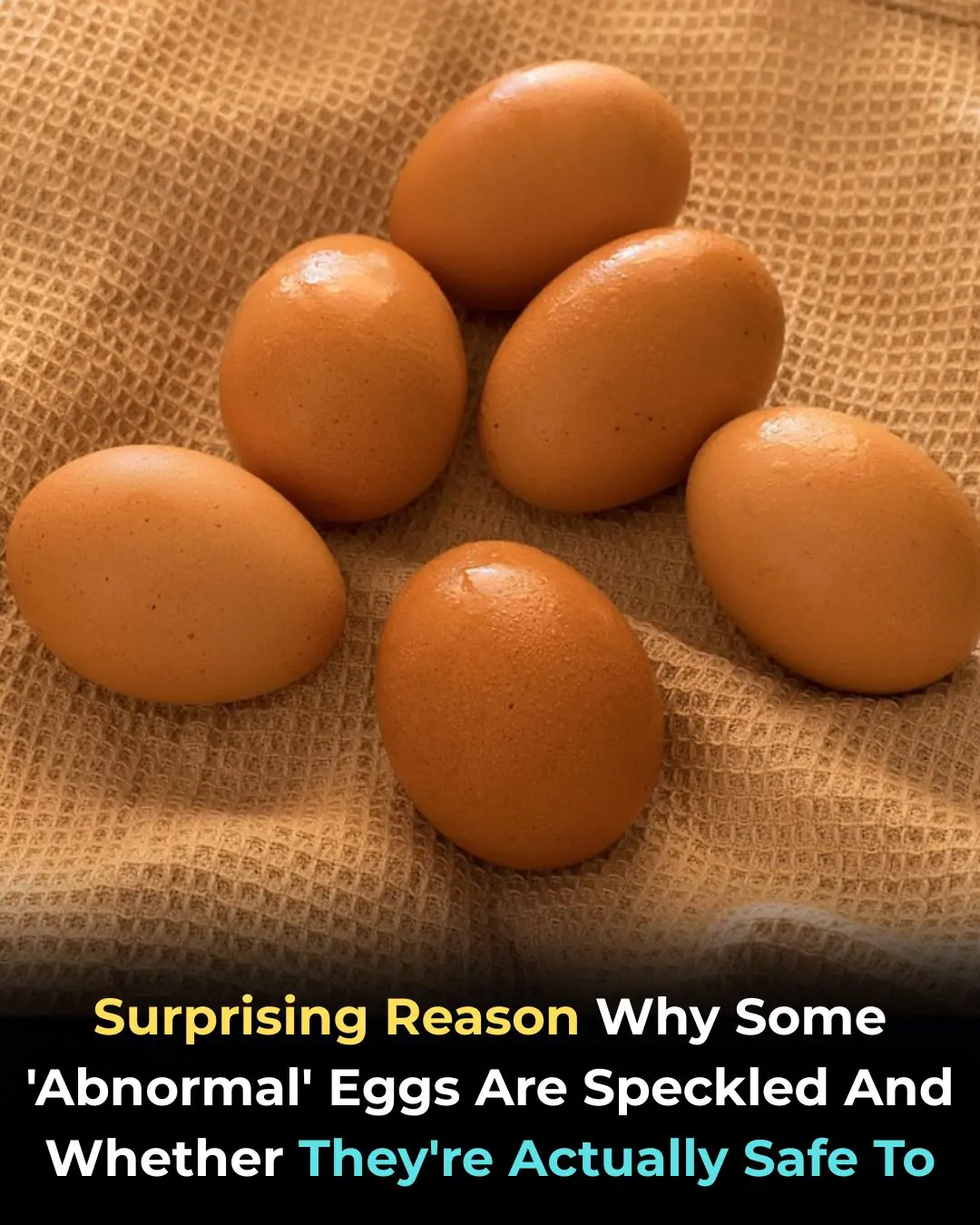 Why Some Eggs Are Speckled