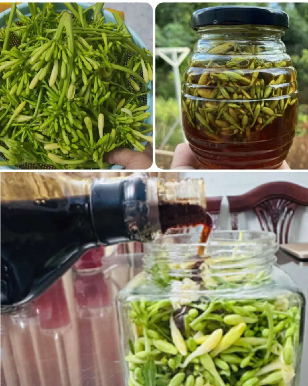 The Hidden Power of Male Papaya Flowers – Benefits and How to Use Them