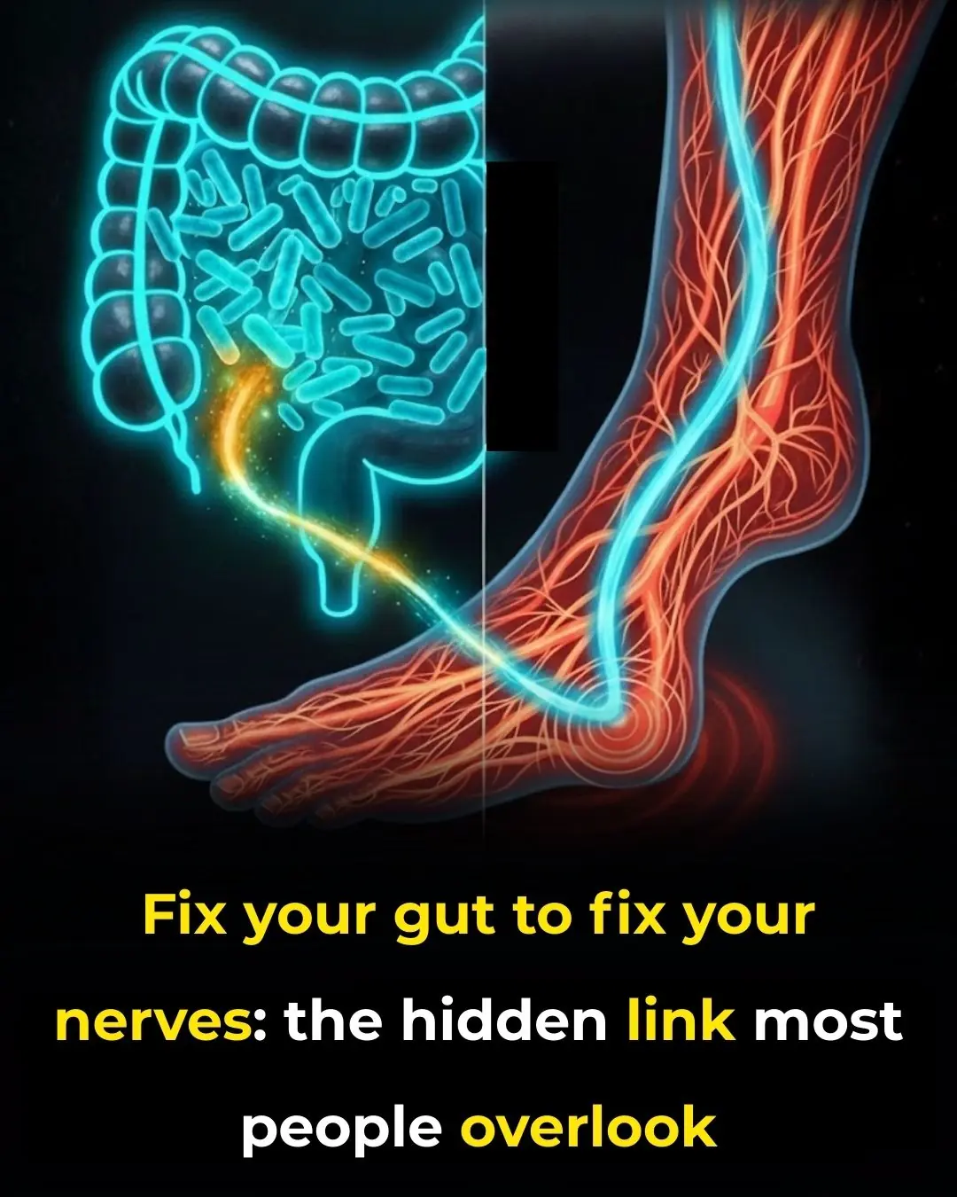 Fix your gut to fix your nerves: the hidden link most people overlook