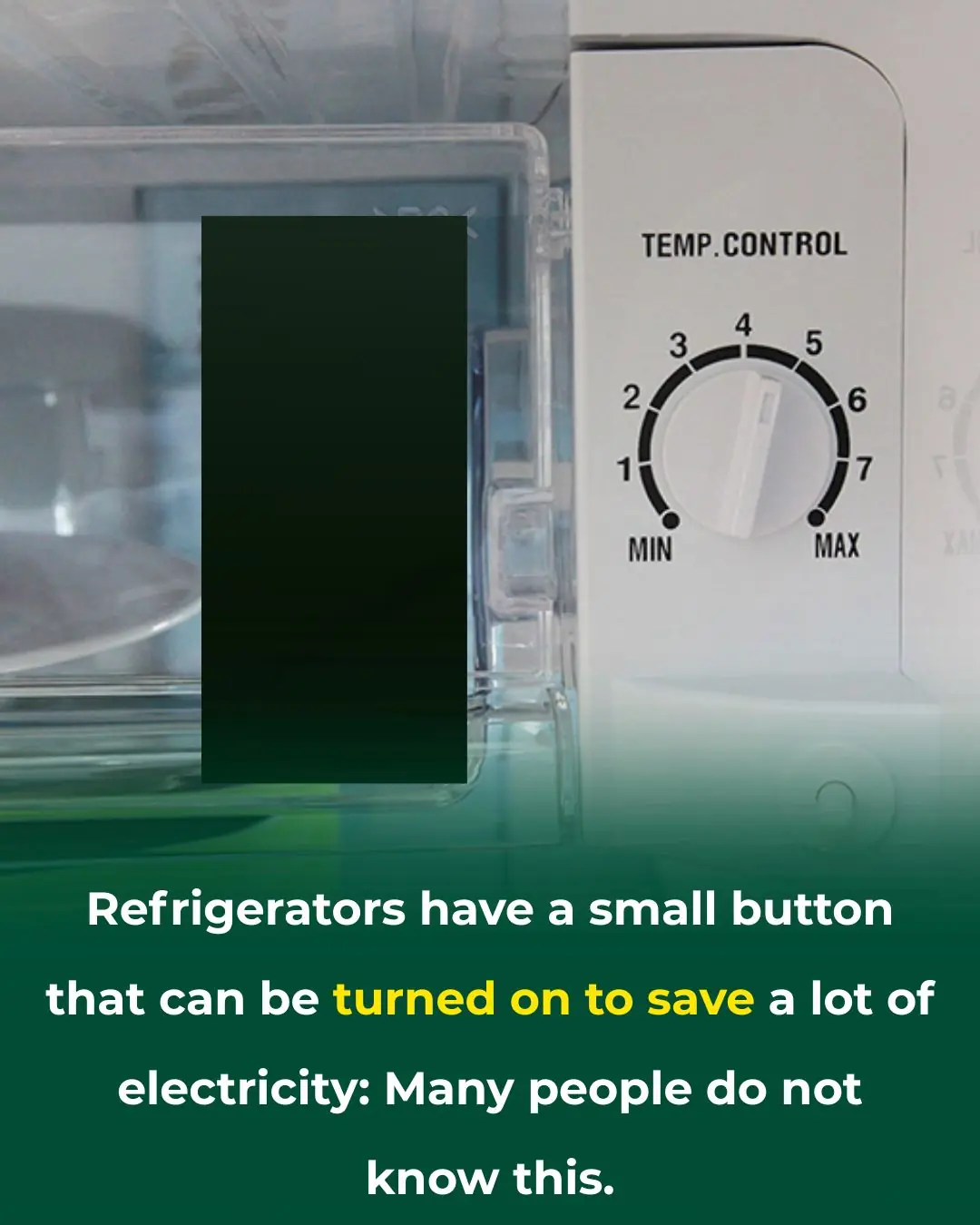 A Small Refrigerator Button Can Save You Hundreds on Your Electric Bill: Most People Don’t Know