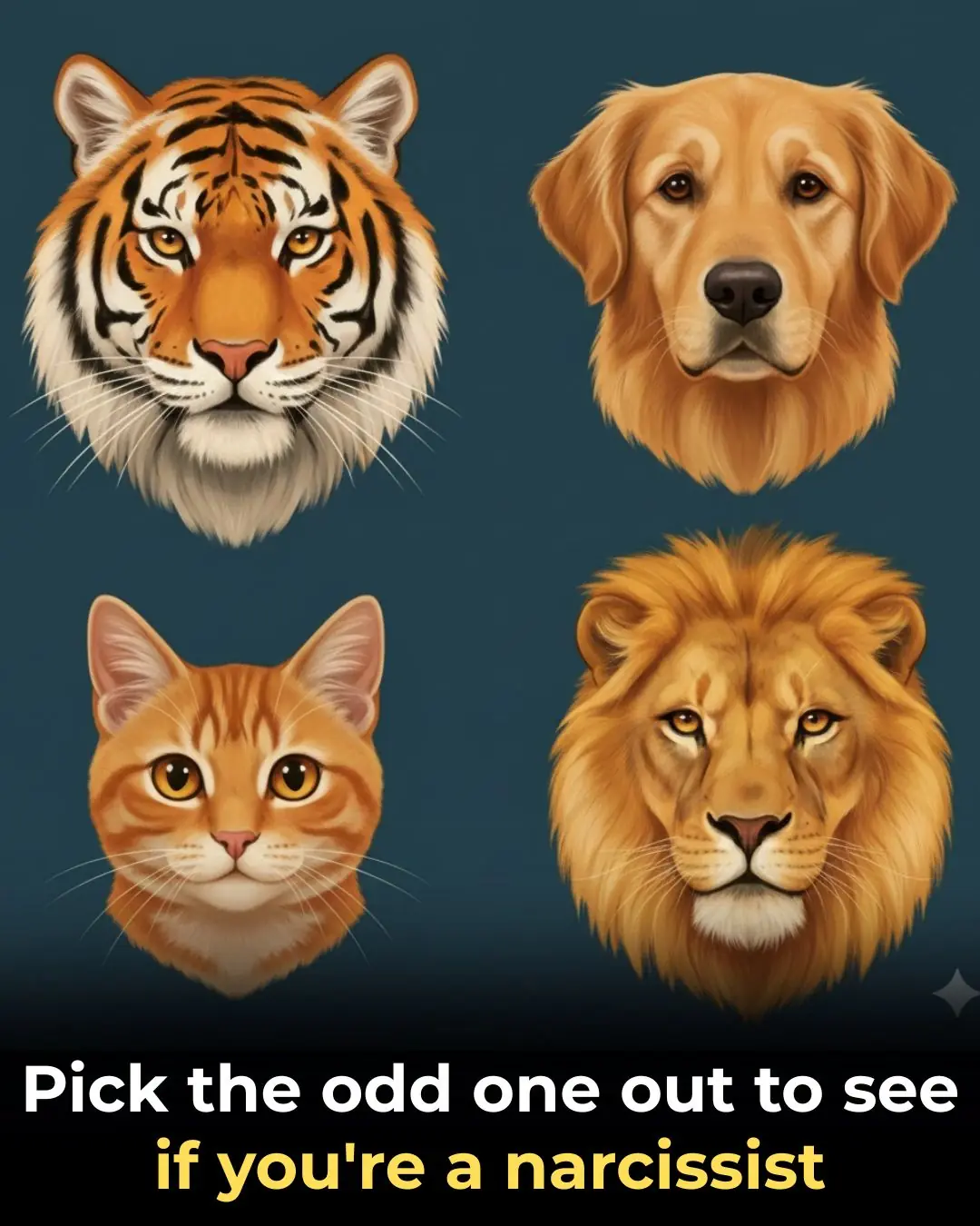 What Your “Odd Animal Out” Choice Says About You
