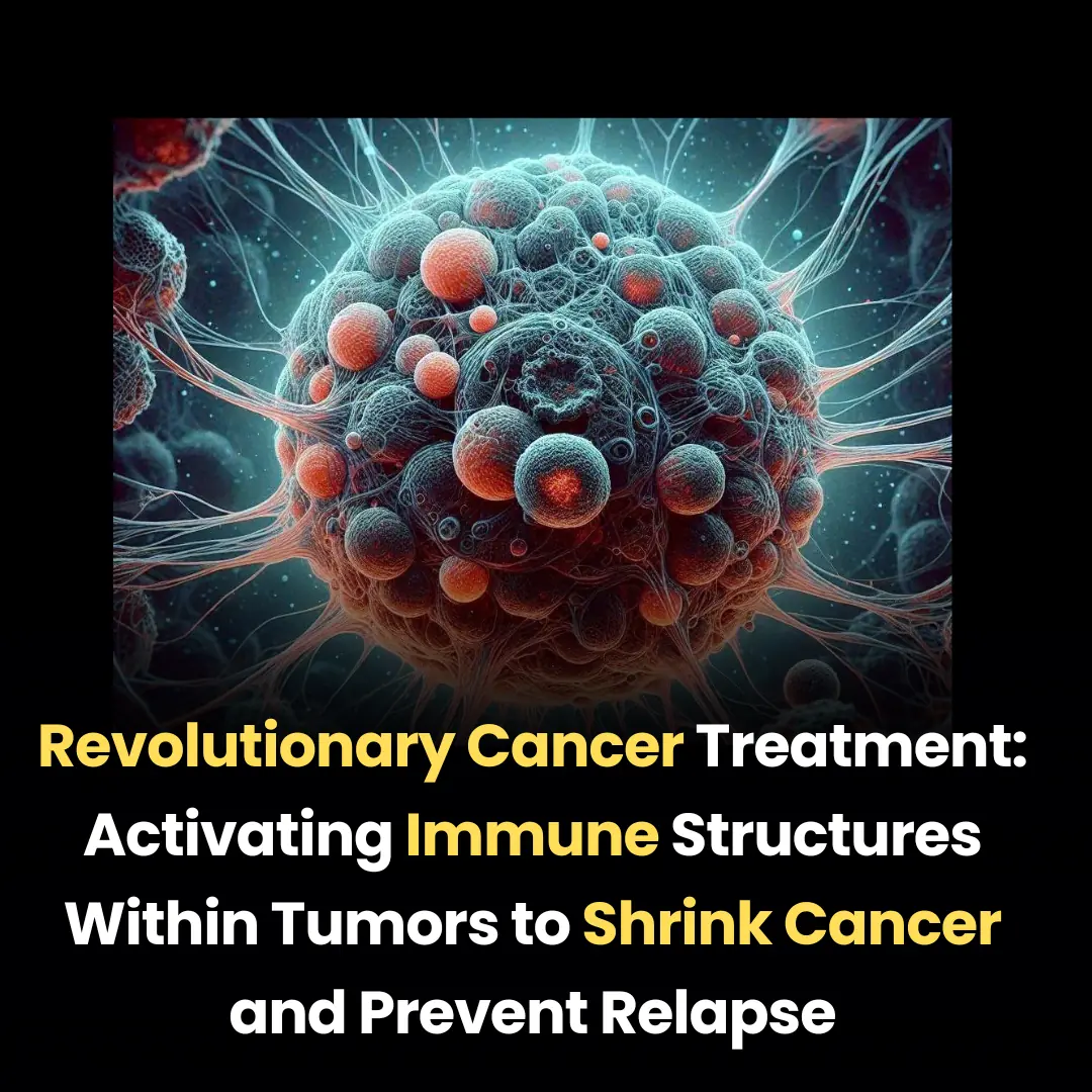 Revolutionary Cancer Treatment: Activating Immune Structures Within Tumors to Shrink Cancer and Prevent Relapse