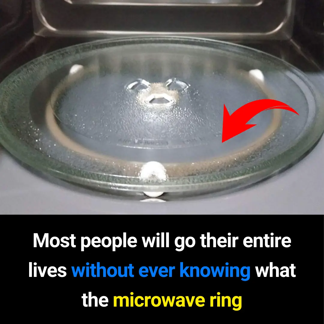 What Is a Microwave Ring Cover? Why This Small Part Matters More Than You Think (SEO-Friendly Guide)