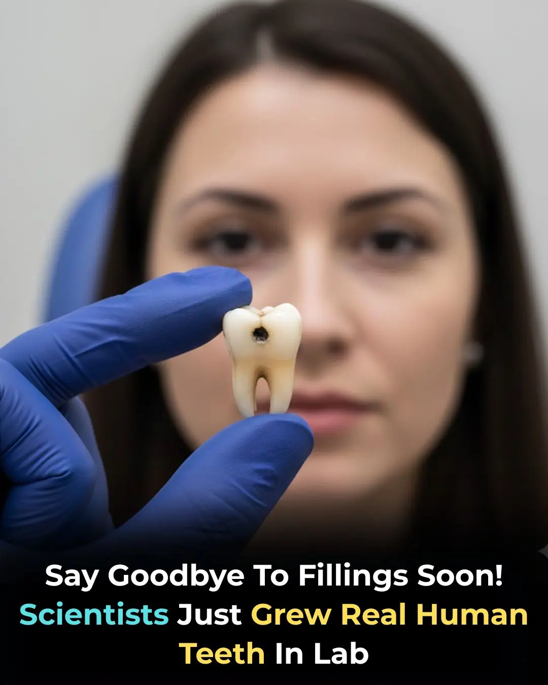 Scientists Grow Fully Functional Human Teeth in the Lab — A Breakthrough That Could Transform Dentistry Forever