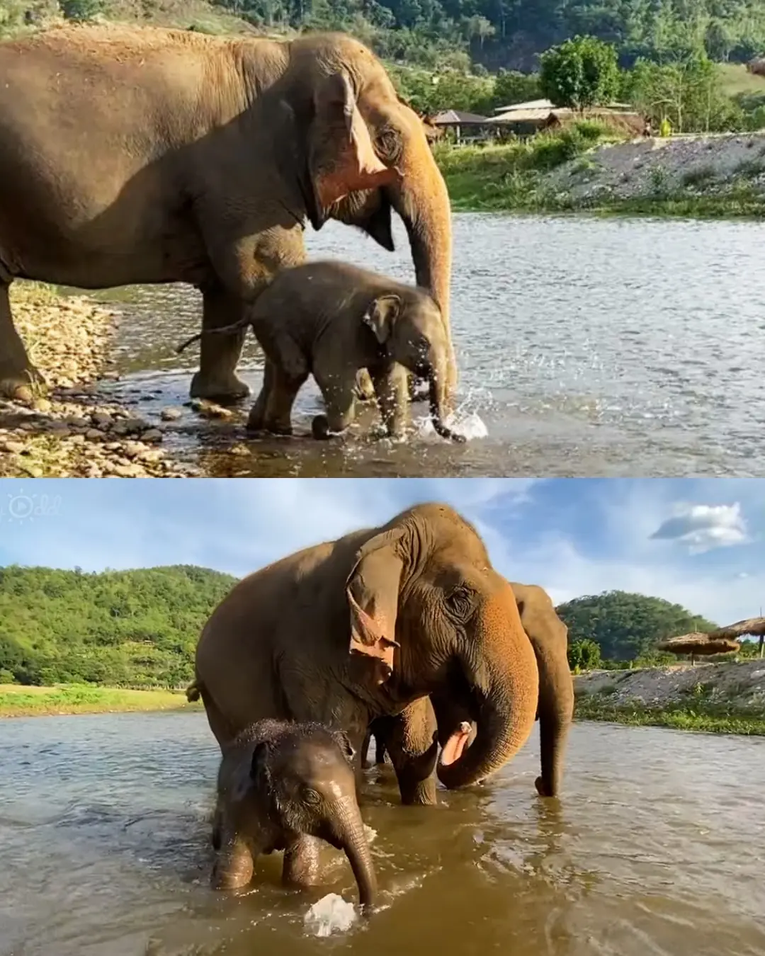 The First Time Pyi Mai Touched the River.