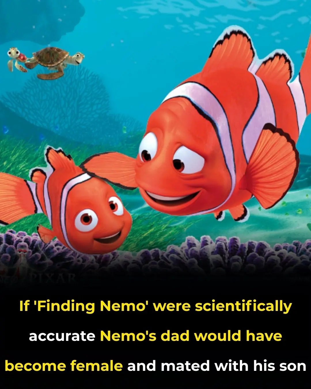 Science vs. Disney: What Finding Nemo Didn’t Tell You About Clownfish