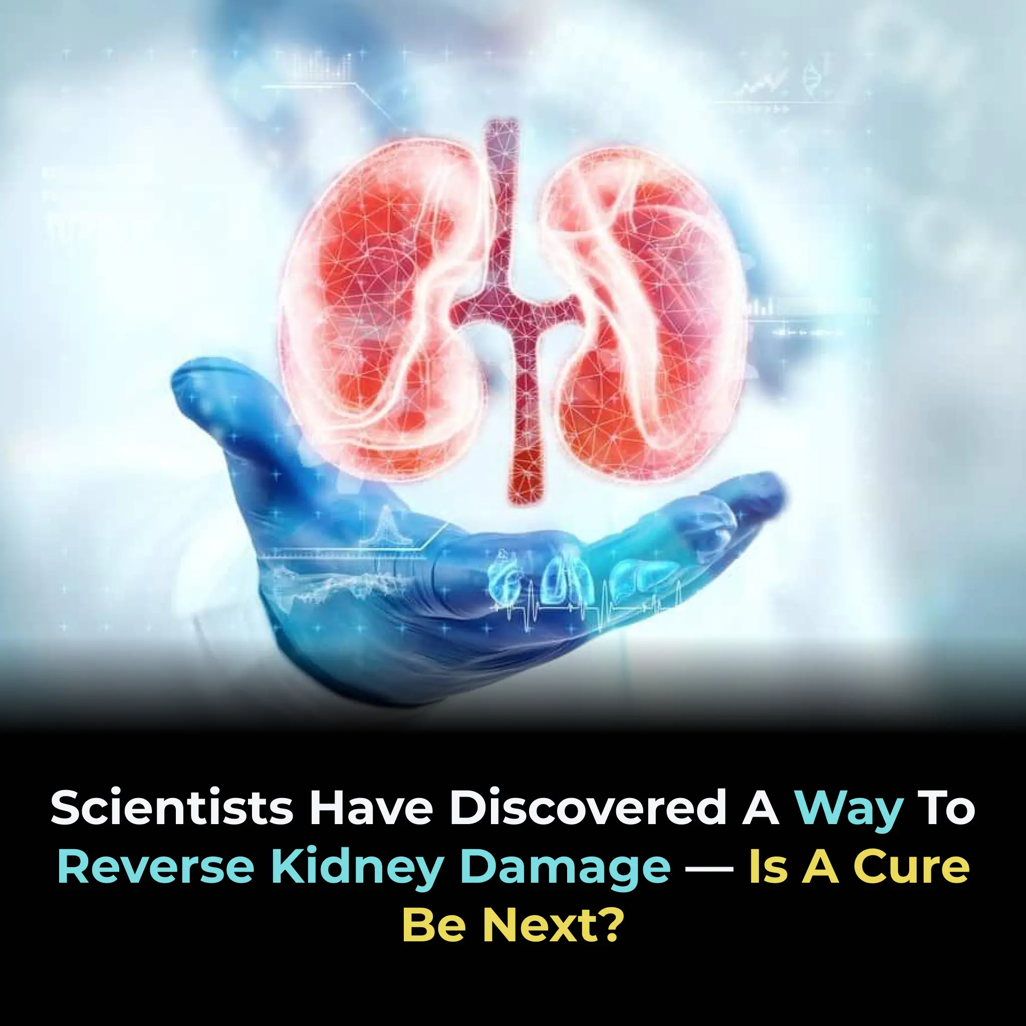 A New Dawn for Chronic Kidney Disease Treatment: From Management to Possible Remission