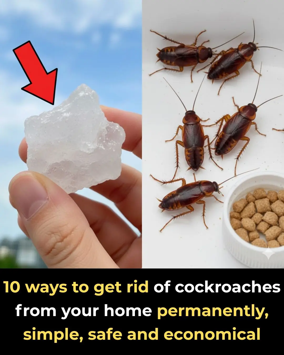 10 ways to get rid of cockroaches from your home permanently, simple, safe and economical