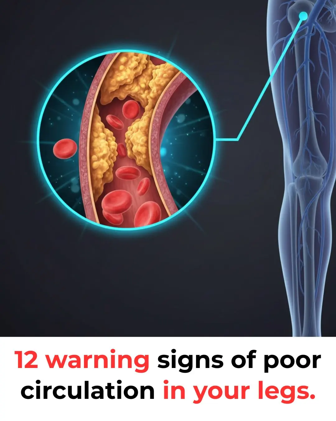 Top 12 Symptoms of Poor Blood Circulation in Legs