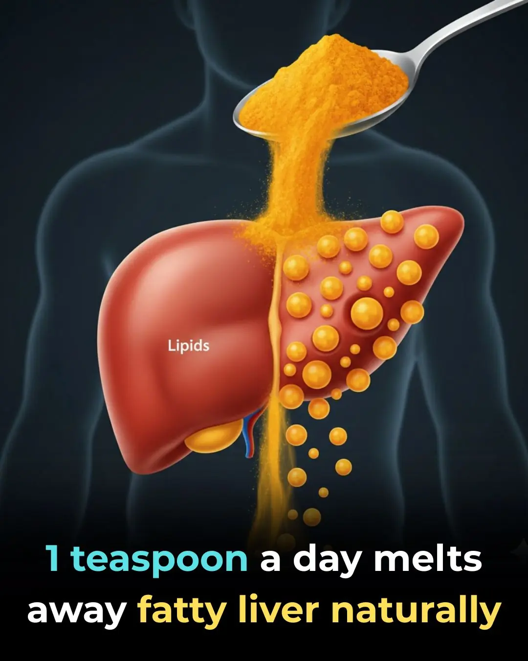 Fatty Liver Disease: A Growing Silent Health Concern – And How Turmeric May Support Liver Health